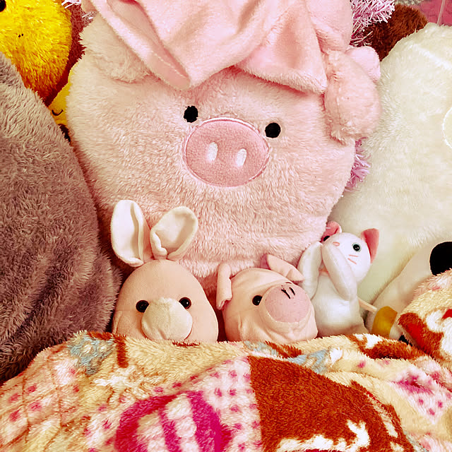 GCさんの実例写真