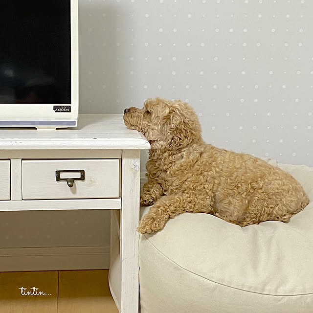 tintinさんの部屋