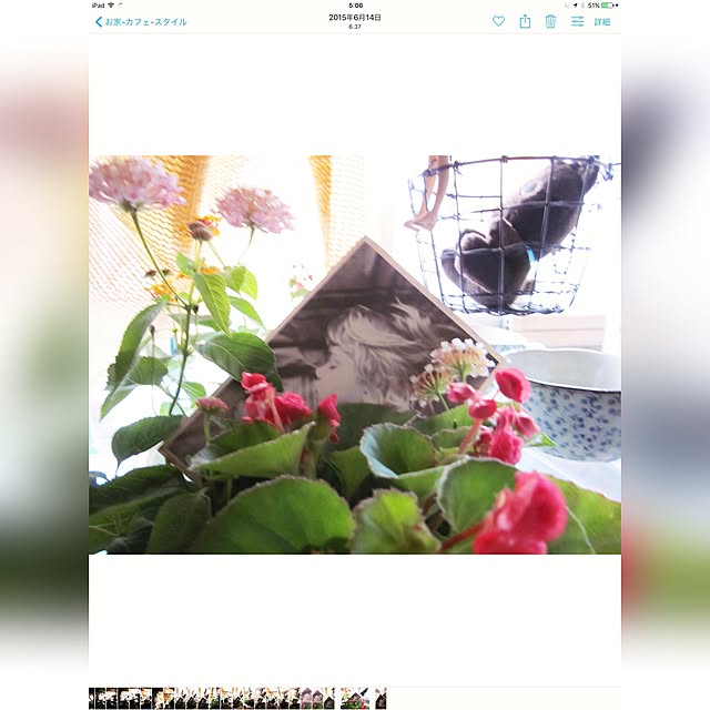 MEMO.2017.REALさんの実例写真