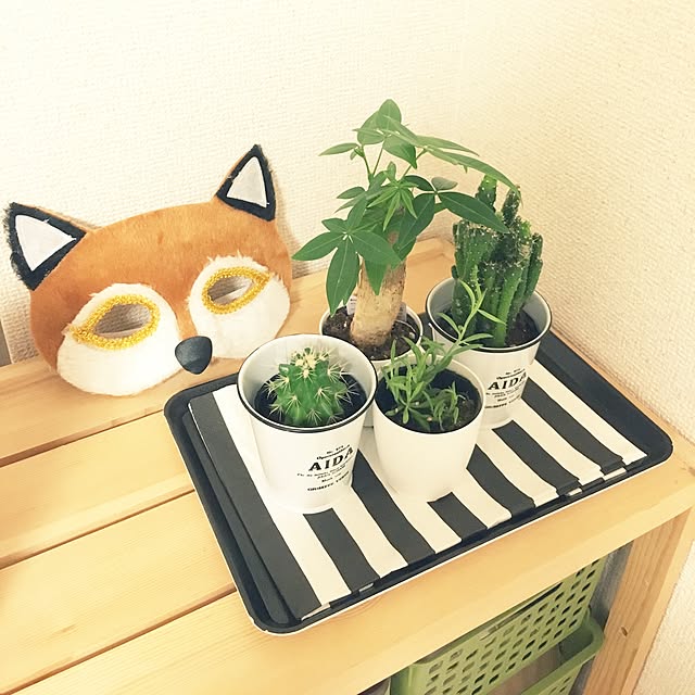 sopusopuさんの実例写真