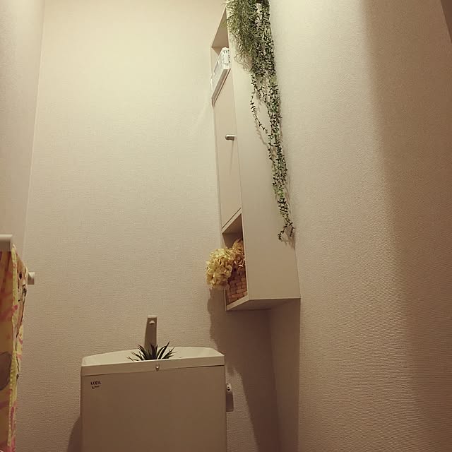 kyaoriさんの実例写真