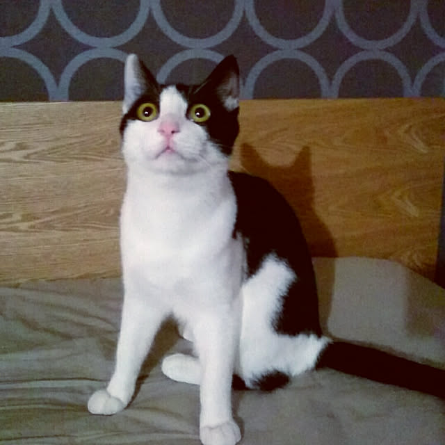MUさんの実例写真