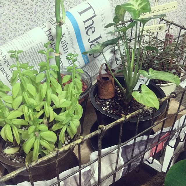 tomomi_jeanさんの実例写真