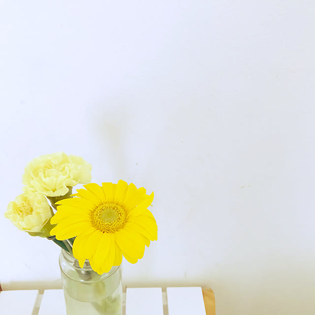 codemariさんの実例写真