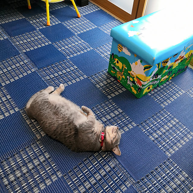 yuukiさんの実例写真