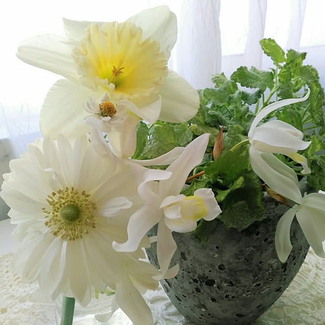 shoko0420さんの実例写真