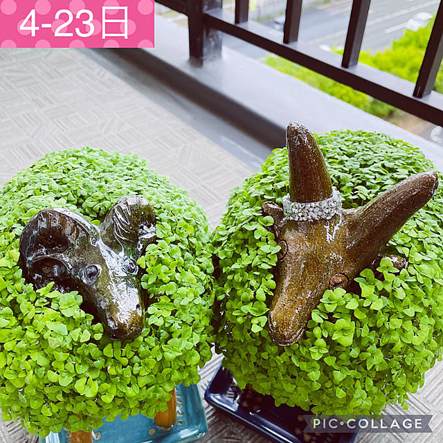 aureaさんの実例写真