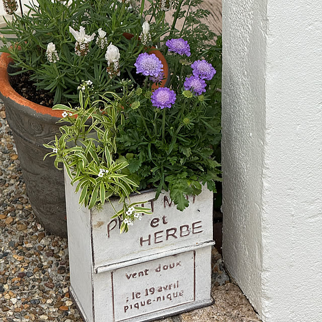 zuccoさんの部屋