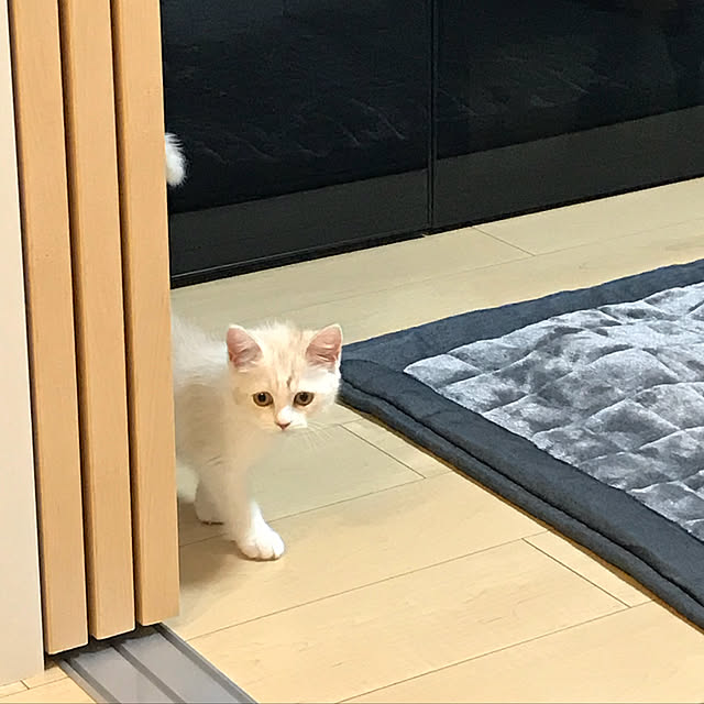 H.Tさんの実例写真