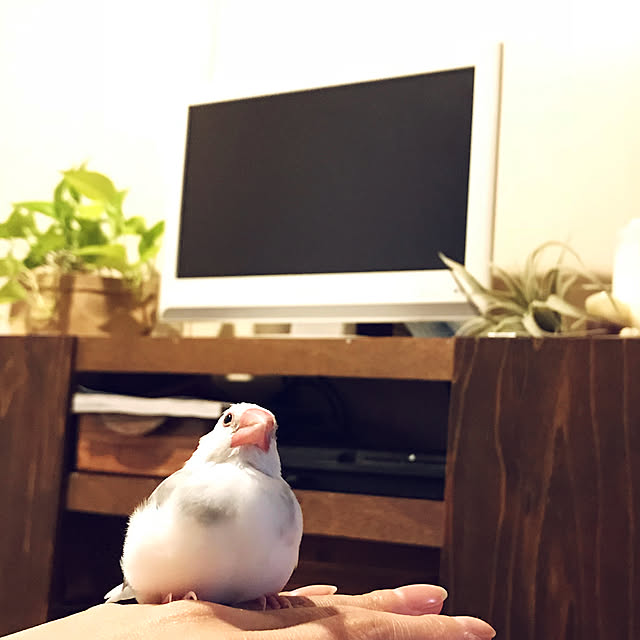 calmsweetsweetさんの実例写真