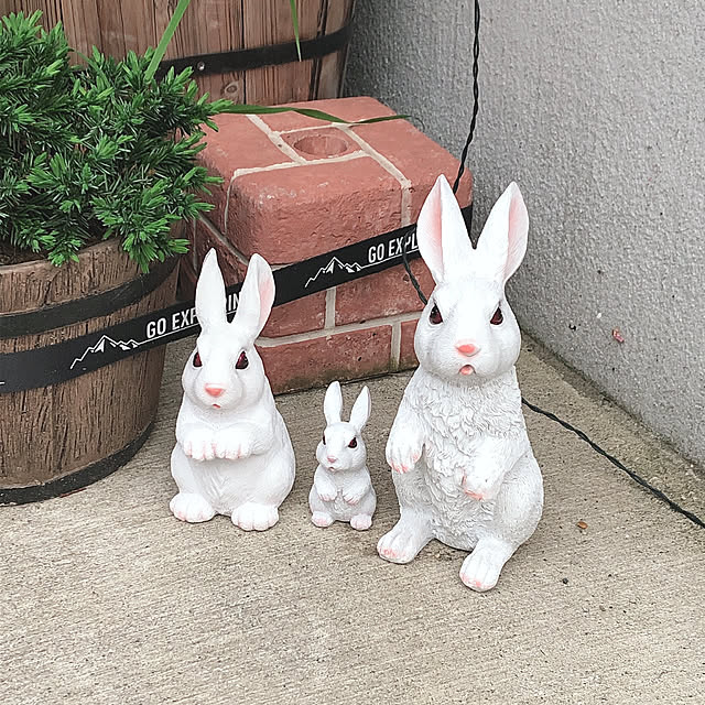 yayoponnさんの実例写真