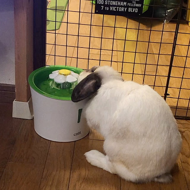 kohaさんの実例写真