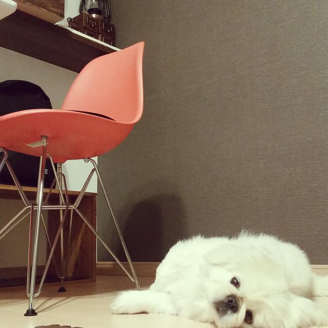 yukagomaさんの実例写真