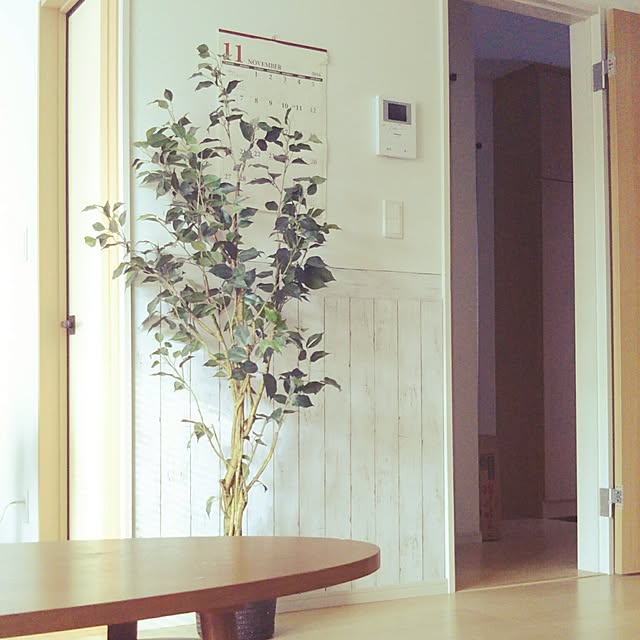mariさんの実例写真
