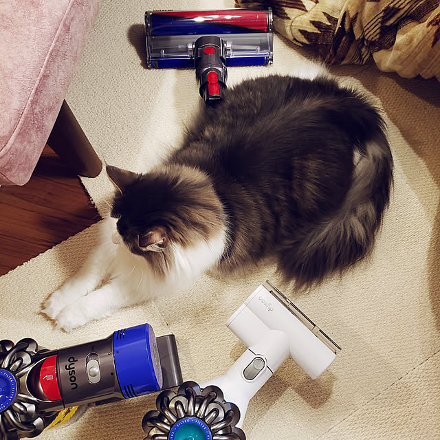 mofさんの実例写真
