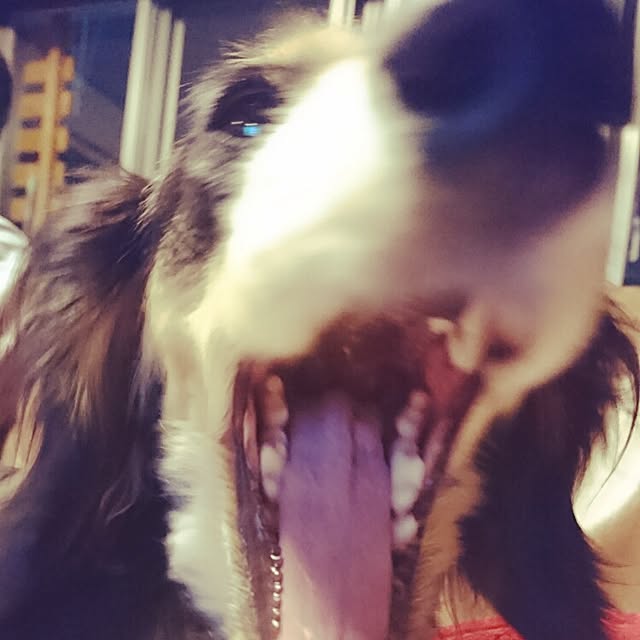 cocosorasakuさんの実例写真