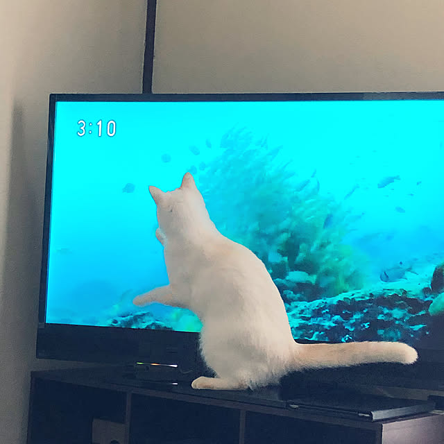 MAMAさんの部屋