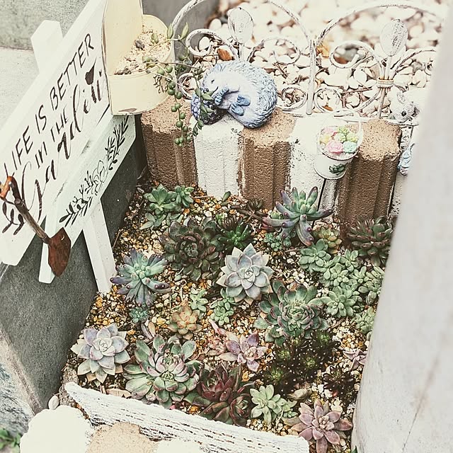 purpureさんの実例写真