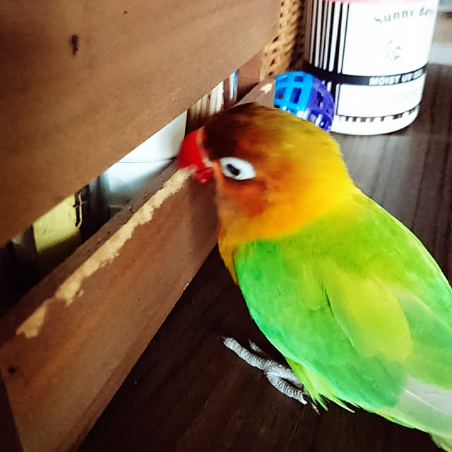 s.p.sunaoさんの実例写真