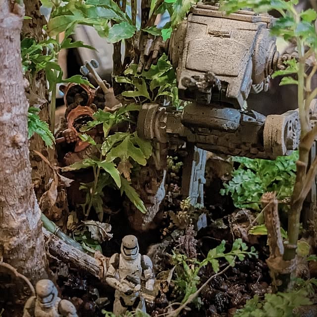 GINさんの実例写真