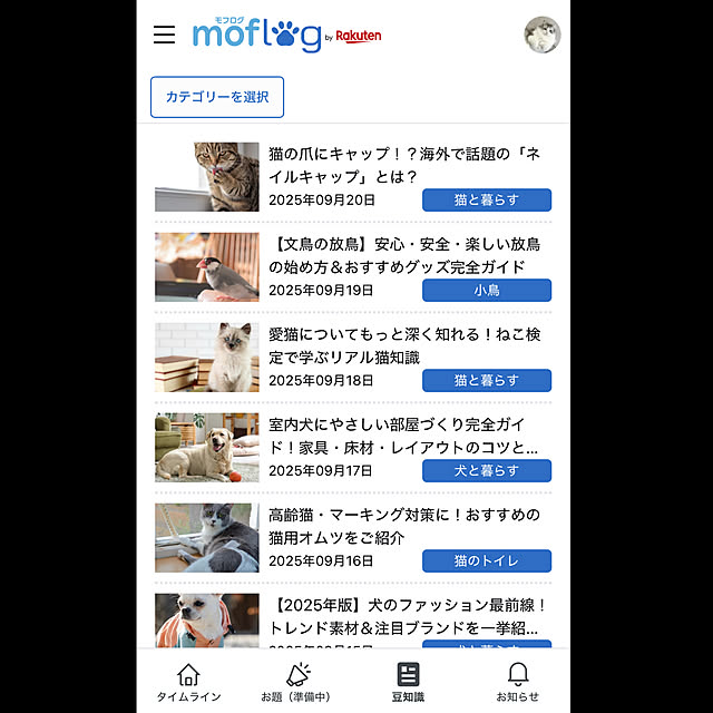 cotoriさんの部屋