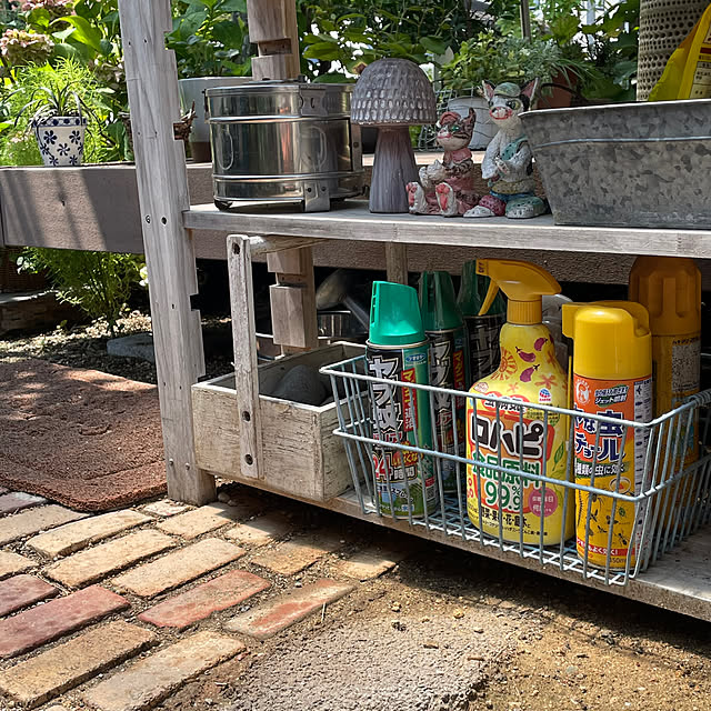 nobikoさんの部屋