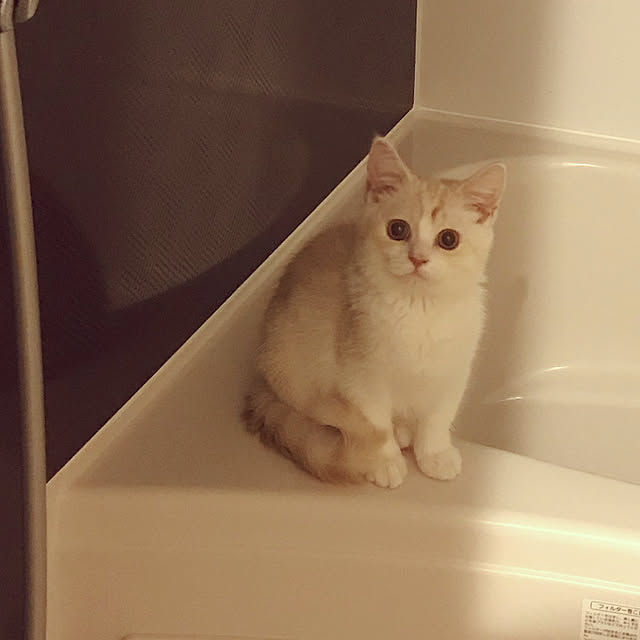 H.Tさんの実例写真