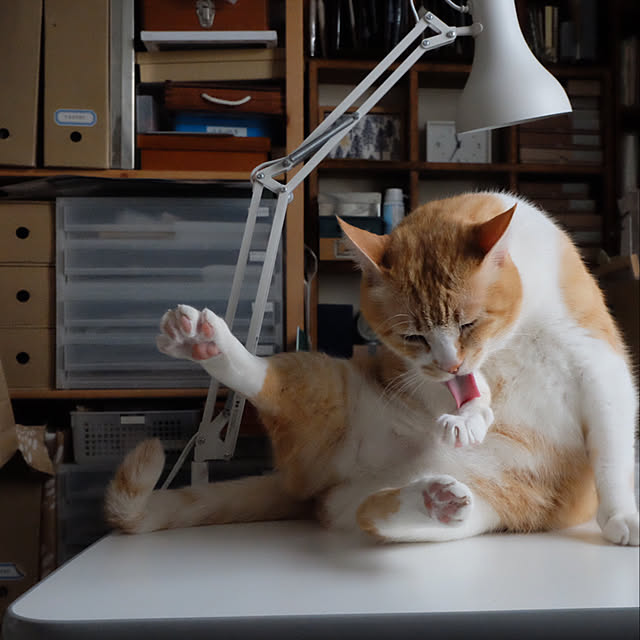 mokiさんの実例写真