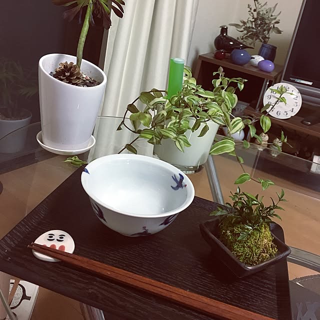 juboccoさんの実例写真
