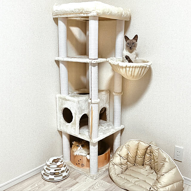 ar._.roomさんの実例写真