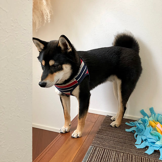 nuruiさんの実例写真