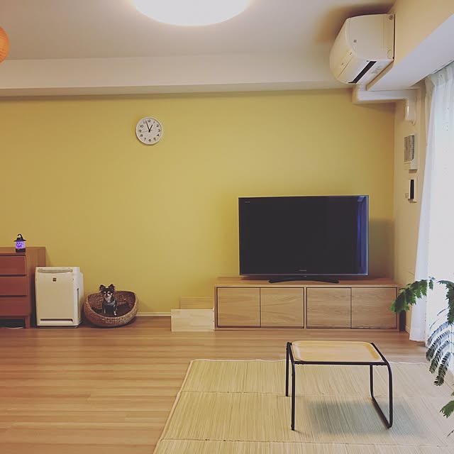 iwamayuさんの実例写真