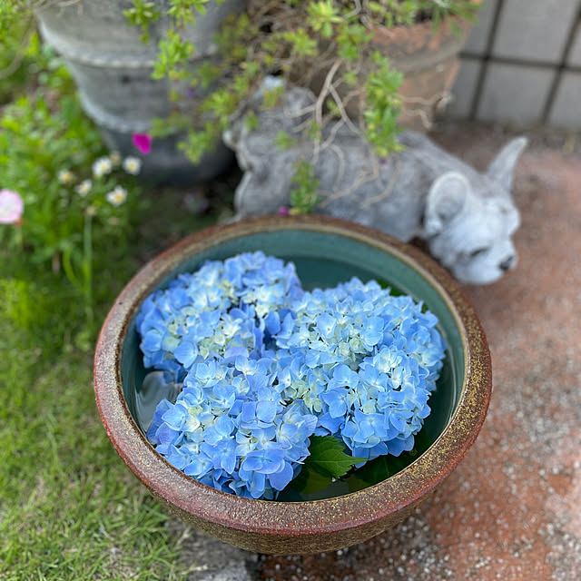 hima820さんの実例写真