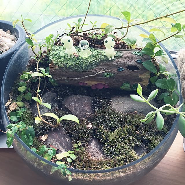 mikiさんの実例写真