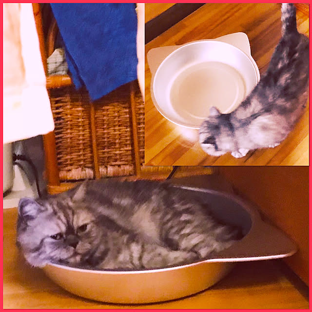 Marinさんの実例写真
