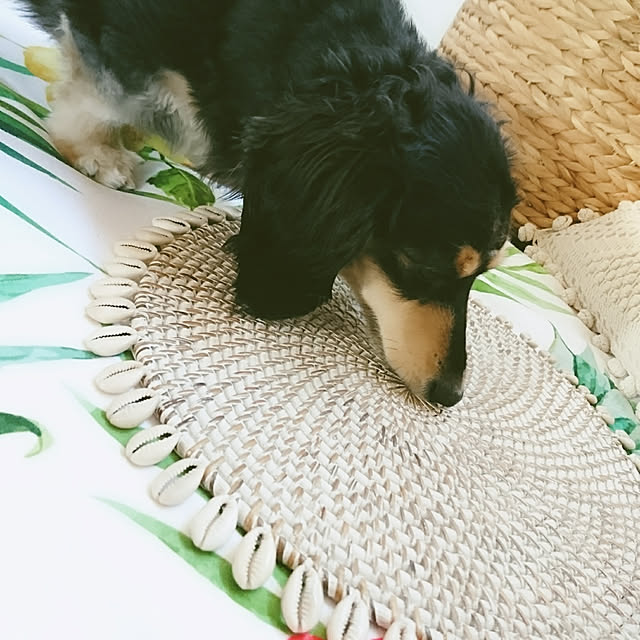 cocosorasakuさんの実例写真