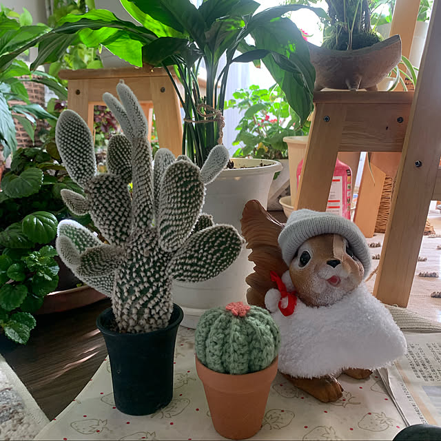 Aqettyさんの実例写真