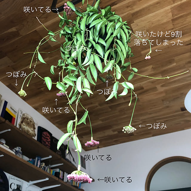 tomokoさんの実例写真