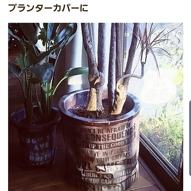 reksさんの実例写真