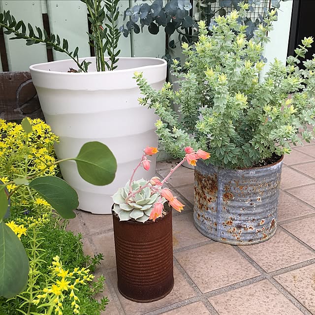 yukkaさんの実例写真