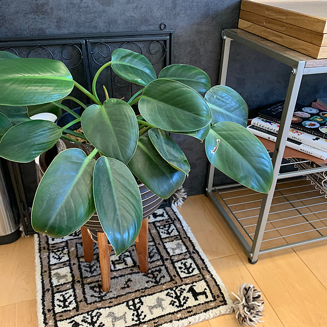happyさんの部屋