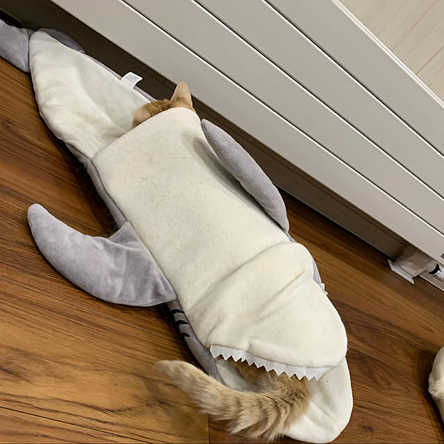 mikeume7さんの実例写真