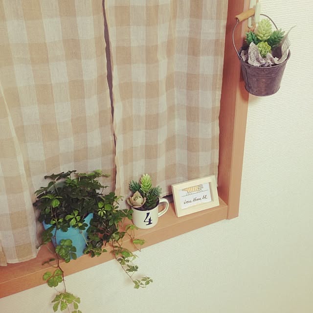 negiさんの実例写真