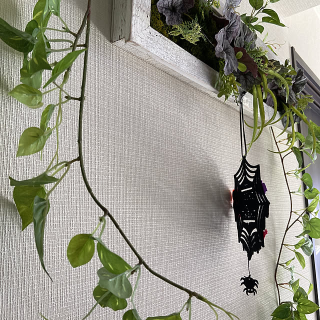 mikoさんの実例写真