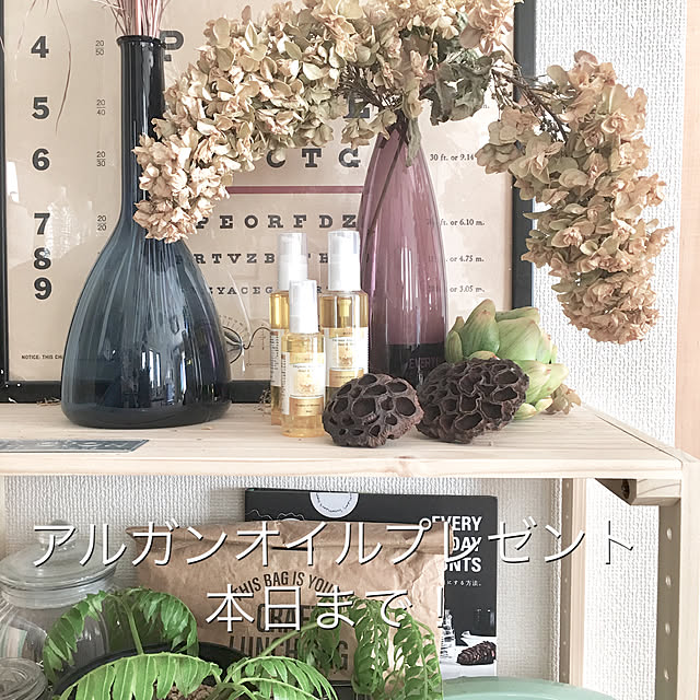 oxoxさんの実例写真