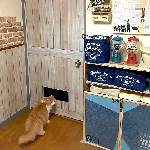 labushuさんの実例写真