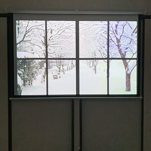 bluecosmosさんの実例写真