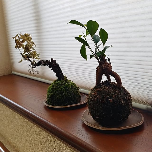 machikoさんの部屋