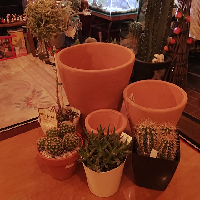 Masahideさんの実例写真