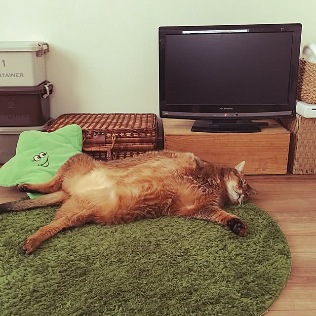 muuさんの実例写真